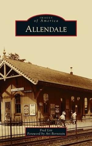 Seller image for Allendale by Litt, Fred [Hardcover ] for sale by booksXpress