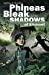 Bild des Verkufers fr Phineas Bleak and the Shadows of Elkmont [Soft Cover ] zum Verkauf von booksXpress