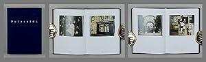 Bild des Verkufers fr Zwei Durchquerungen von Pairs 1993. 96 Polaroids. zum Verkauf von Daniel Thierstein