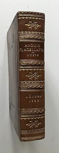 Anguis flagellatus: or, A switch for the snake. Being an answer to the third and last edition of ...