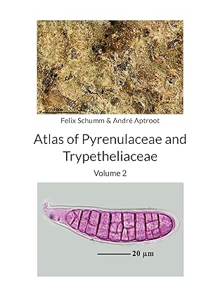 Seller image for Atlas of Pyrenulaceae and Trypetheliaceae Volume 2 for sale by moluna