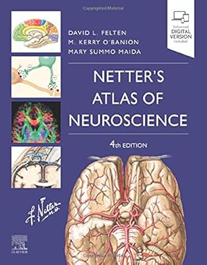 Immagine del venditore per Netter's Atlas of Neuroscience (Netter Basic Science) by Felten MD PhD, David L., O'Banion M.D. Ph.D., Michael K., Maida Ph.D., Mary E [Paperback ] venduto da booksXpress