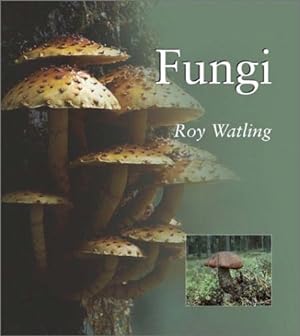 Seller image for Fungi for sale by WeBuyBooks