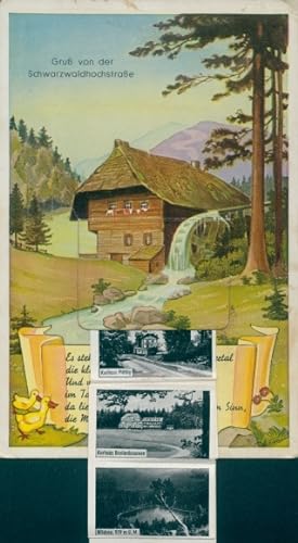 Leporello Ansichtskarte / Postkarte im Schwarzwald, Kurhaus, Wildsee, Wassermühle, Schloss Bühler...