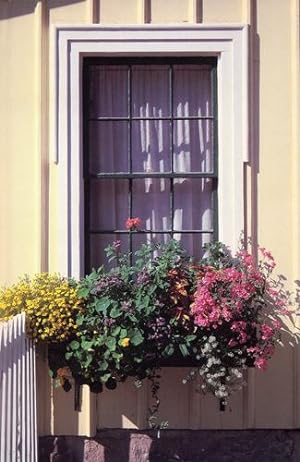 Seller image for Window Box Journal [Hardcover ] for sale by booksXpress