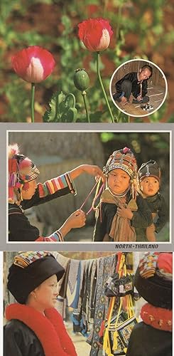 Hill Tribe People Thailand Map Horse Rides Fashion 3x Postcard s
