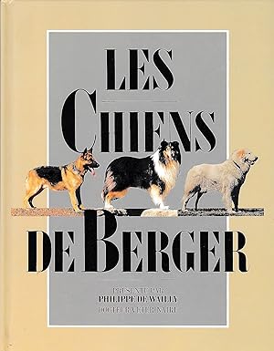 LES CHIENS DE BERGER
