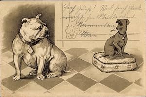 Litho Zwei Hunde, Bulldogge, Terrier auf einem Kissen