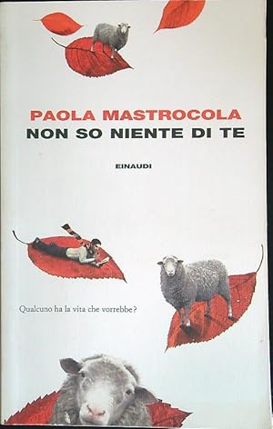 Seller image for Non so niente di te for sale by Librodifaccia