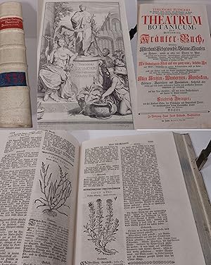 Bild des Verkufers fr Theatrum Botanicum, Das ist: Vollkommenes Kruter-Buch, Worinnen Allerhand Erdgewchse der Bumen, Stauden und Kruter, welche in allen vier Theilen der Welt, sonderlich aber in Europa, hervorkommen, neben ihren sonderbaren Eigenschaften, Tugenden, und vortrefflichen Wirkungen. zum Verkauf von Antiquariat Thomas Mertens