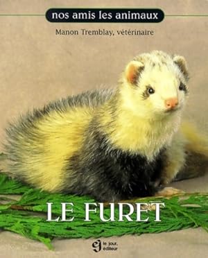 Le furet - Manon Tremblay