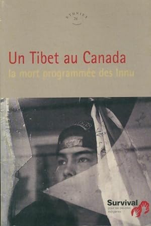 Un Tibet au Canada: La mort programm?e des Innu - Collectif