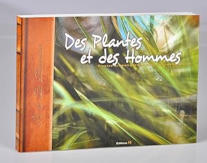 Plantes aromatiques et médicinales de La Réunion