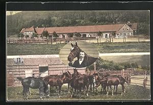 Ansichtskarte Waldau, Fohlenhof, Pferde auf der Wiese, Herr mit Pferd