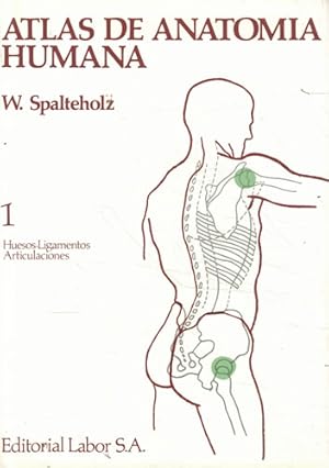 Imagen del vendedor de Atlas de anatoma humana. III Tomos a la venta por Librera Cajn Desastre