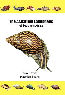 Bild des Verkufers fr The Achatinid Landshells of Southern Africa zum Verkauf von ConchBooks