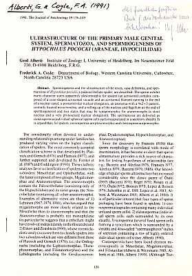 Bild des Verkufers fr Ultrastructure of the Primary Male Genital System, Spermatozoa, and Spermiogenesis of Hypochilus pococki (Araneae, Hypochilidae) zum Verkauf von ConchBooks