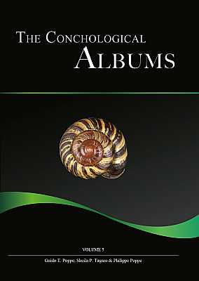 Bild des Verkufers fr The Conchological Albums - Terrestrial Molluscs, Volume 5: Bulimulidae (2), Camaenidae (1) zum Verkauf von ConchBooks