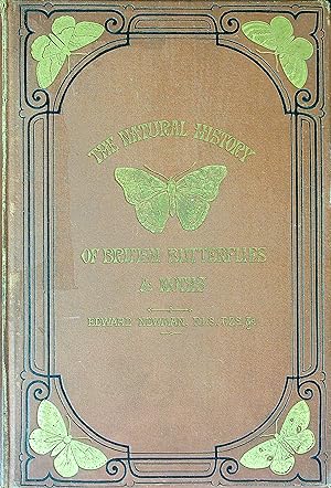 Bild des Verkufers fr An Illustrated Natural History of British Butterflies and Moths zum Verkauf von Wonder Book