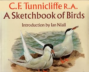 Imagen del vendedor de C. F. Tunnicliffe: sketchbook of birds. a la venta por Andrew Isles Natural History Books