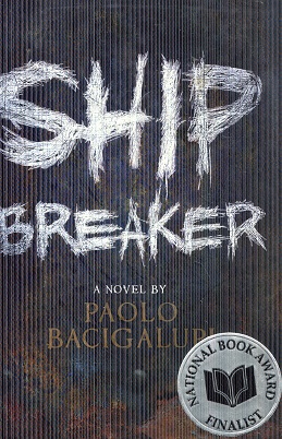 Ship Breaker