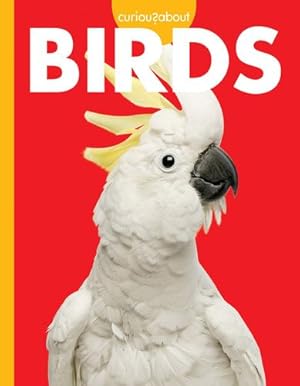 Seller image for Curious about Birds (Curious about Pets) by Sherman, Jill [Paperback ] for sale by booksXpress