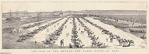Mahdist War. The Camel Depot at Suez. The War in the Soudan. An original print from the Graphic I...