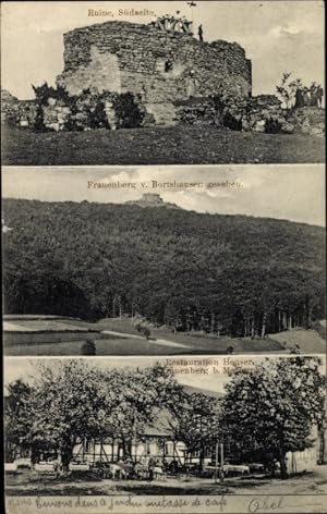 Ansichtskarte / Postkarte Beltershausen Frauenberg Ebsdorfergrund Hessen, Burg Frauenberg, Ruine,...