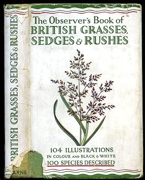 Seller image for The Observer's Book of British Grasses, Sedges and Rushes| Describing 100 Species [The Observer Pocket Series No. 7]. for sale by Little Stour Books PBFA Member