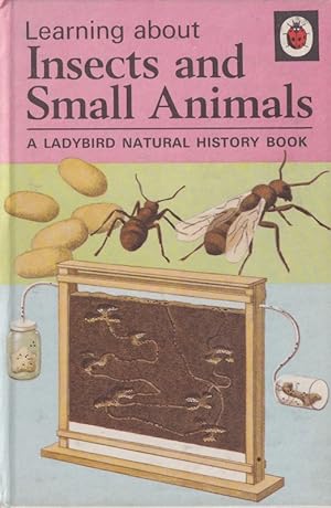 Learning About Insects and Small Animals