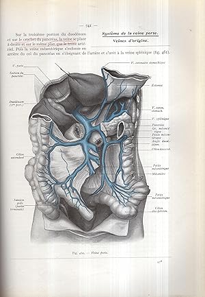 Imagen del vendedor de Anatomie Humaine. descriptive et topographique. - Sixime dition entirement rvise. - Tome I - Fascicule II. a la venta por PRISCA