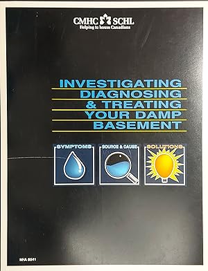 Investigating, Diagnosing and Treating Your Damp Basement