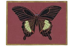 Motten und Schmetterlinge, 1957/59