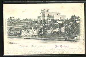 Relief-Ansichtskarte Aschaffenburg, Pompejanum am Fluss