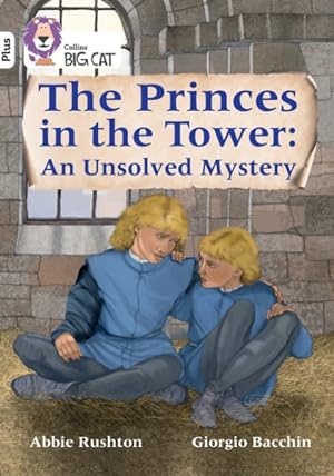 Seller image for Justice For The Princes In The Tower for sale by GreatBookPrices