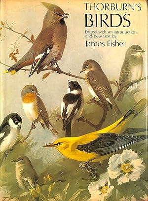 Bild des Verkufers fr Thorburn's Birds zum Verkauf von M Godding Books Ltd