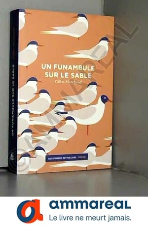 Seller image for Un funambule sur le sable for sale by Ammareal