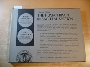 The Human Brain in Sagittal Section