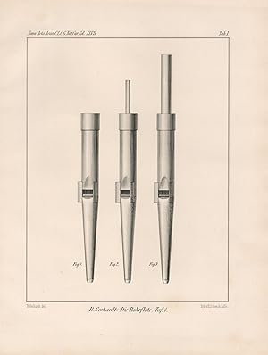 Bild des Verkufers fr Die Rohrflte, Tafel 1. Lithographie von 1884 zum Verkauf von Antiquariat Kastanienhof