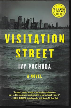 VISITATION STREET: A Novel