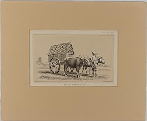 Ceylon Buffalo Cart.