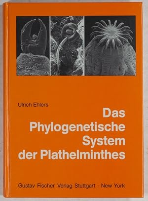 Das Phylogenetische System der Plathelminthes.