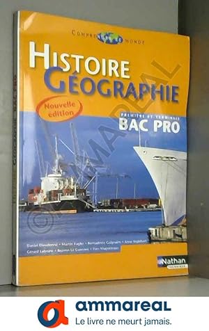 Image du vendeur pour Histoire Gographie 1e et Tle Bac Pro mis en vente par Ammareal