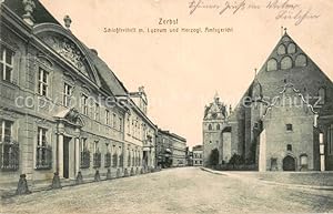 Postkarte Carte Postale 73767532 Zerbst Schlossfreiheit m. Lyzeum u. Herzogl. Amtsgericht Feldpos...