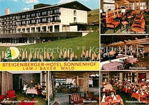 Postkarte Carte Postale 73774730 Lam Oberpfalz Steigenberger Hotel Sonnenhof Ferienapartment Hote...