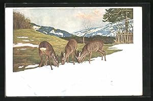 Bild des Verkufers fr Knstler-Ansichtskarte Eugen Ludwig Hoess: Das erste Grn am Schneerand, Weidende Rehe zum Verkauf von Bartko-Reher