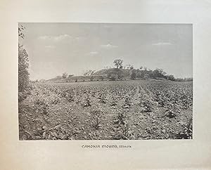 Cahokia Mound, Illinois