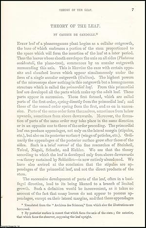 Imagen del vendedor de Theory of the Leaf : a Phanerogamus plant begins as a cellular outgrowth, the base of which embraces a portion of the stem proportioned to the space which will form the insertion of the leaf at a later period. An original uncommon article from the Intellectual Observer, 1869. a la venta por Cosmo Books