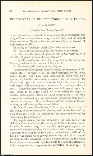 Seller image for The Velocity of Insects Wings During Flight. An original uncommon article from the Intellectual Observer, 1869. for sale by Cosmo Books