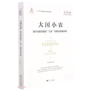 Immagine del venditore per Big Country and Small Farmers (Three Rural Issues and Strategic Choices in the New Journey of Modernization) / Big Country and Big Transition. China's Economic Transformation and Innovation Development Series(Chinese Edition) venduto da liu xing